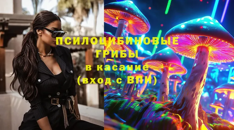 KRAKEN сайт  купить закладку  Владивосток  Псилоцибиновые грибы Psilocybe 